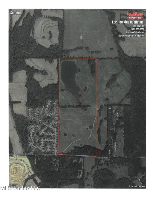 Media Image 3