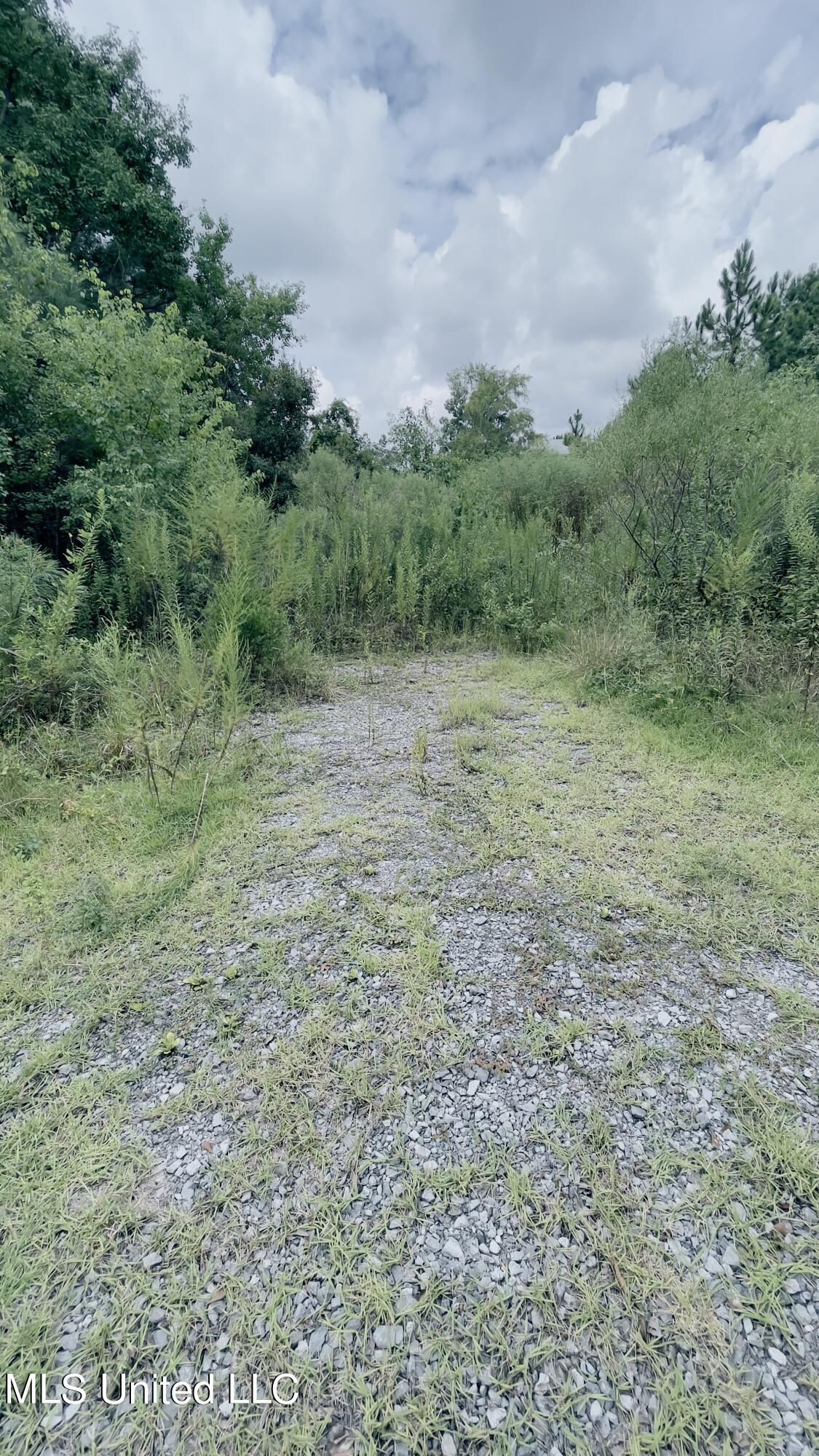 Image Unavailable