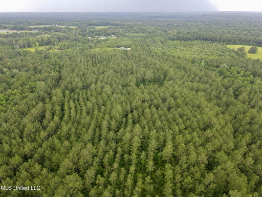 Media Image 3