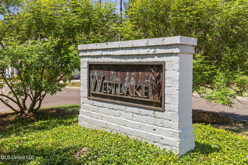 Media Image 2