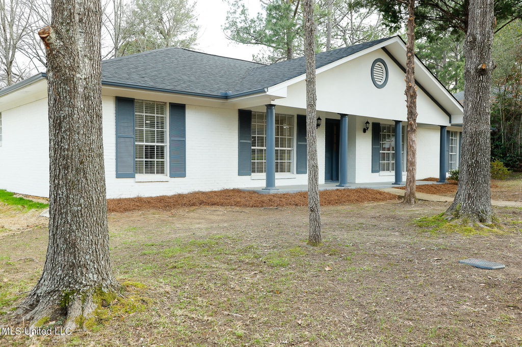 Media Image 1