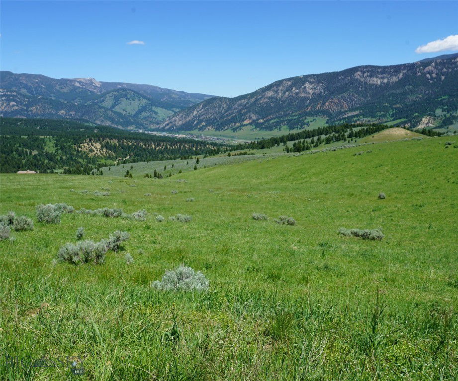 Media Image 1