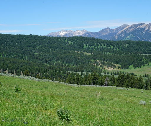 Media Image 3