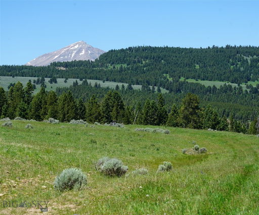Media Image 2