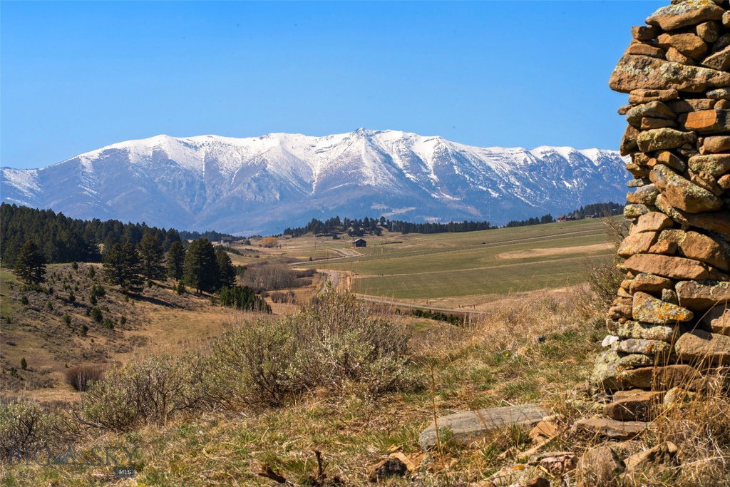 Media Image 1