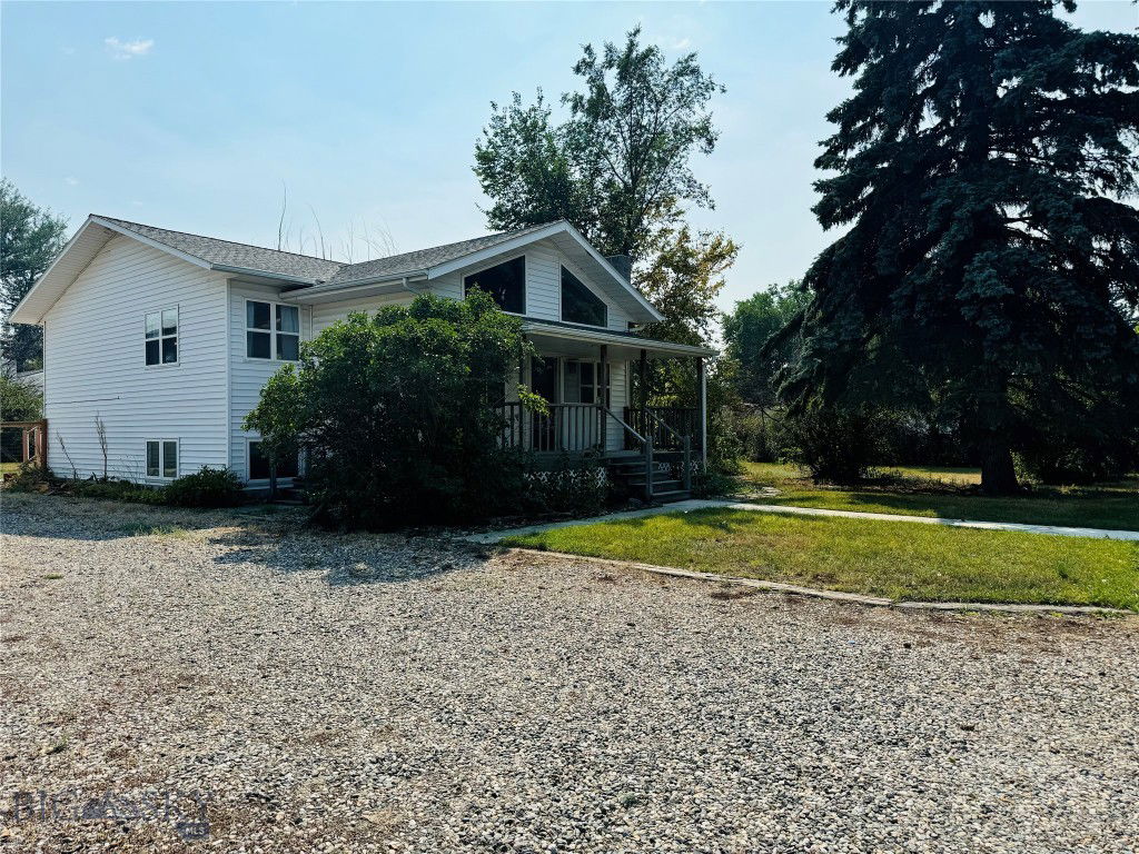Media Image 1