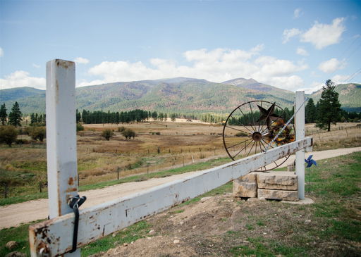 Media Image 2
