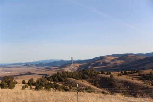 Media Image 3