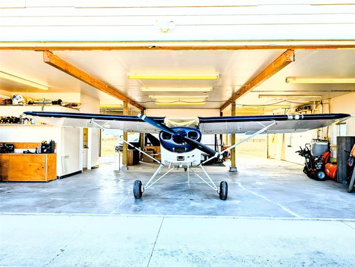 Media Image 2