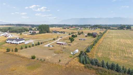 Media Image 2