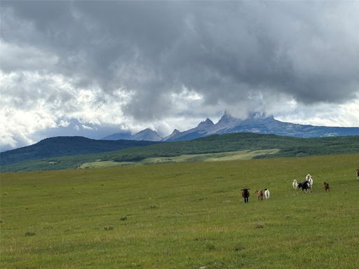 Media Image 2