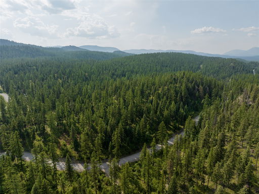 Media Image 2