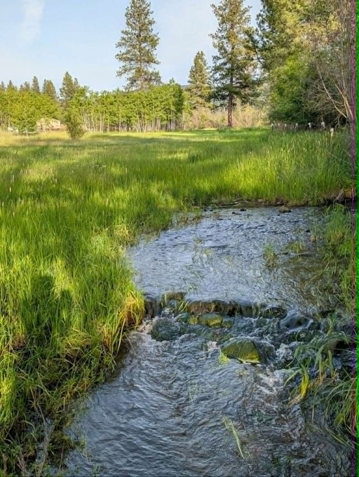 Media Image 3