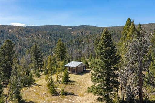 Media Image 2
