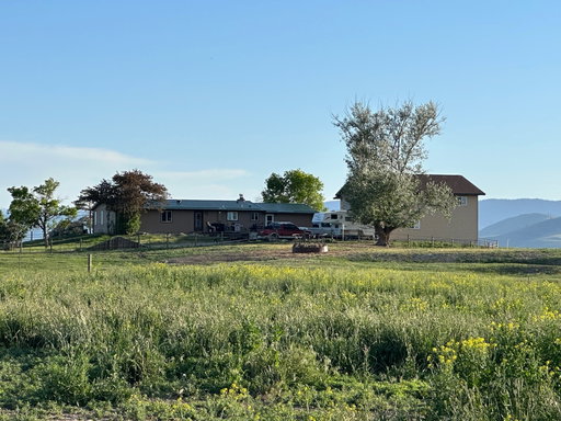 Media Image 2