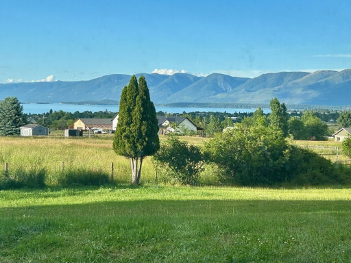 Media Image 3