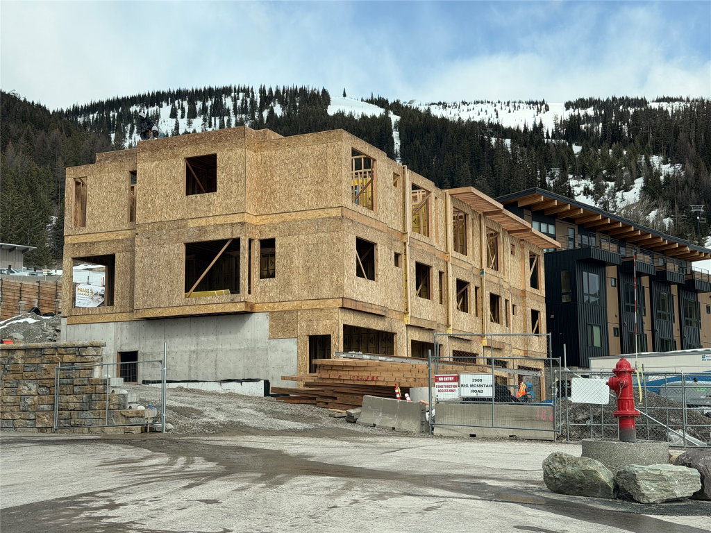 Media Image 1