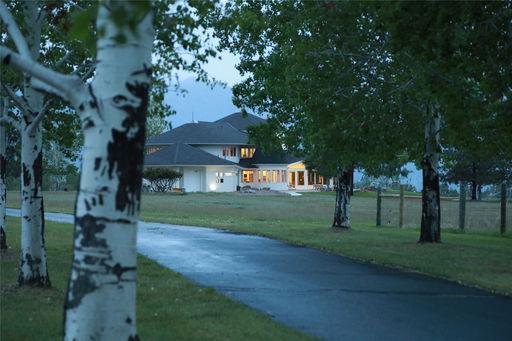 Media Image 2