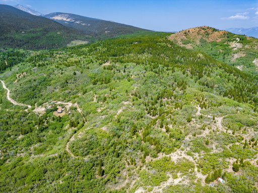 Media Image 3