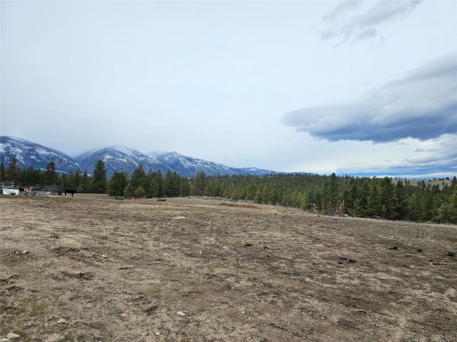 Media Image 3