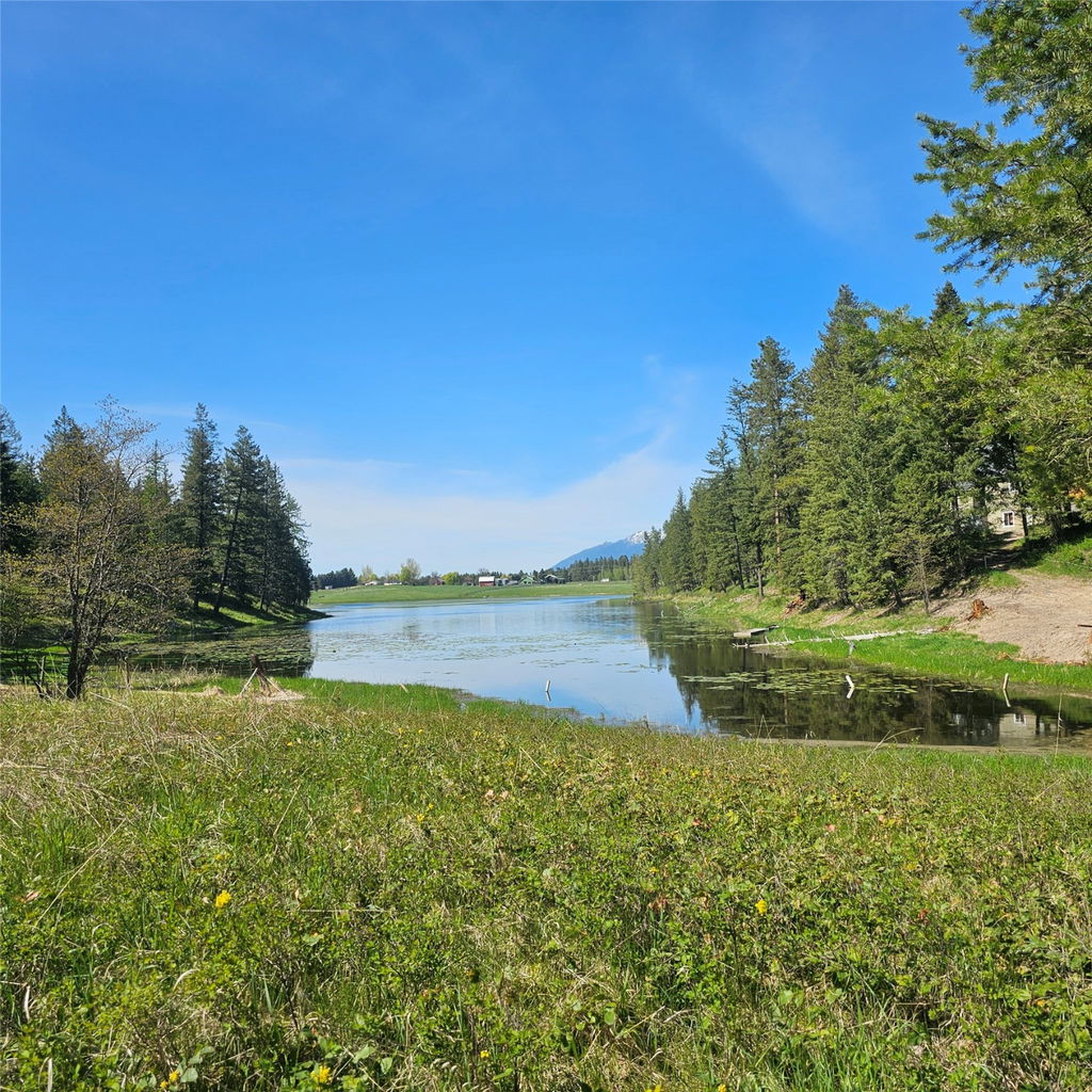 Media Image 1