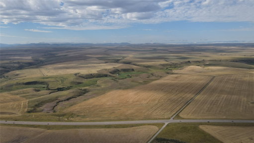Media Image 3