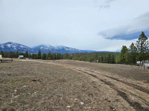 Media Image 2