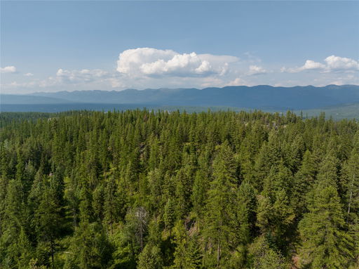 Media Image 3