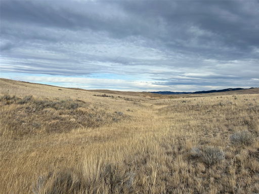 Media Image 2