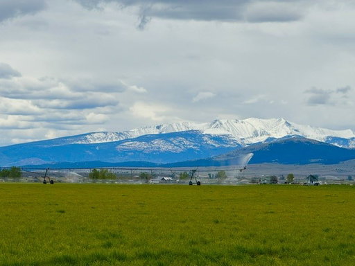 Media Image 3