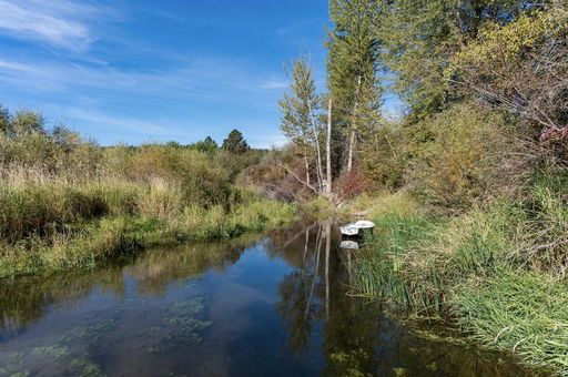Media Image 3