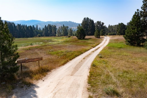 Media Image 2