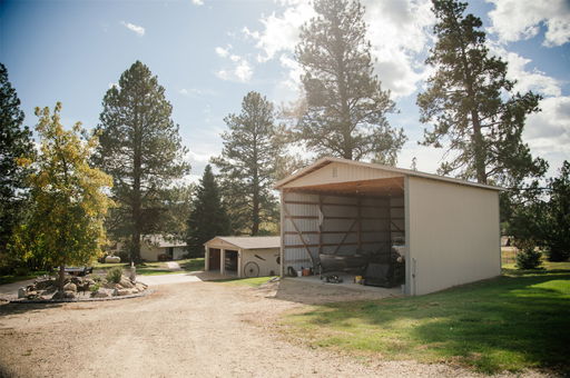 Media Image 3