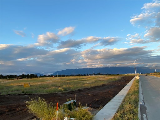 Media Image 2