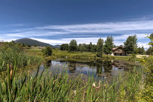 Media Image 2