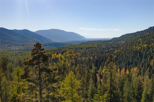 Media Image 3
