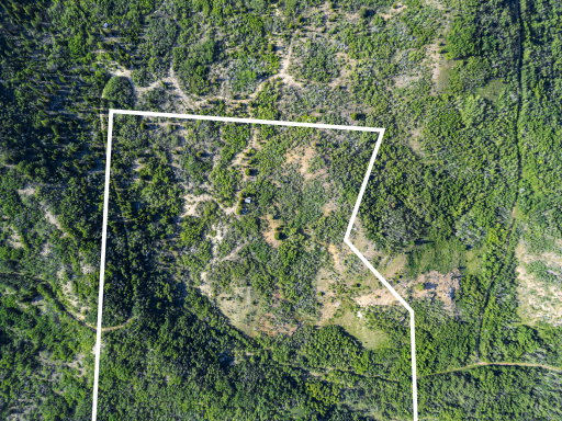 Media Image 2