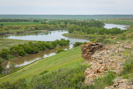 Media Image 3