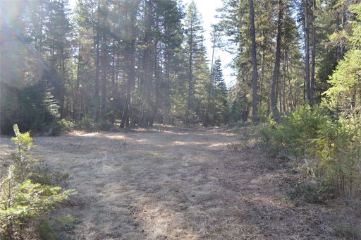Media Image 3