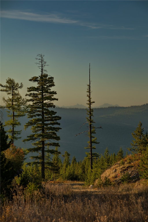 Media Image 3