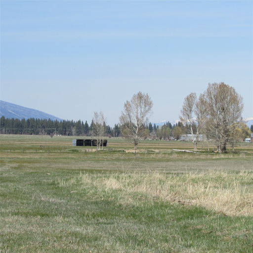 Media Image 2