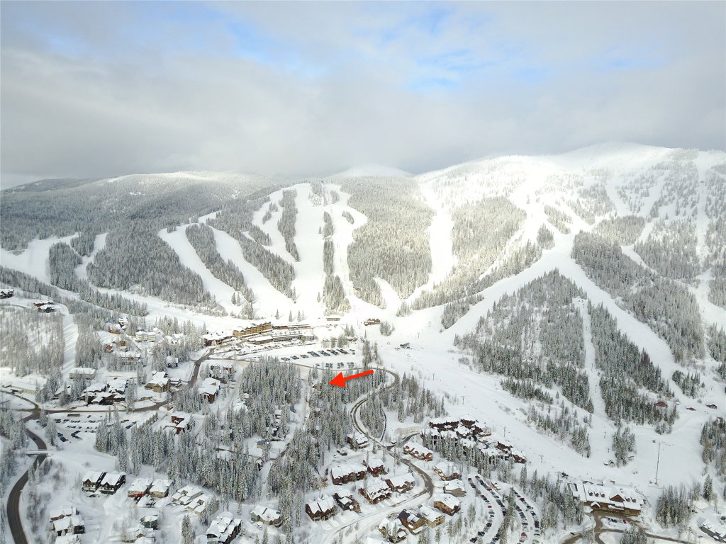 Media Image 1