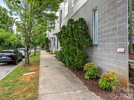 Media Image 2