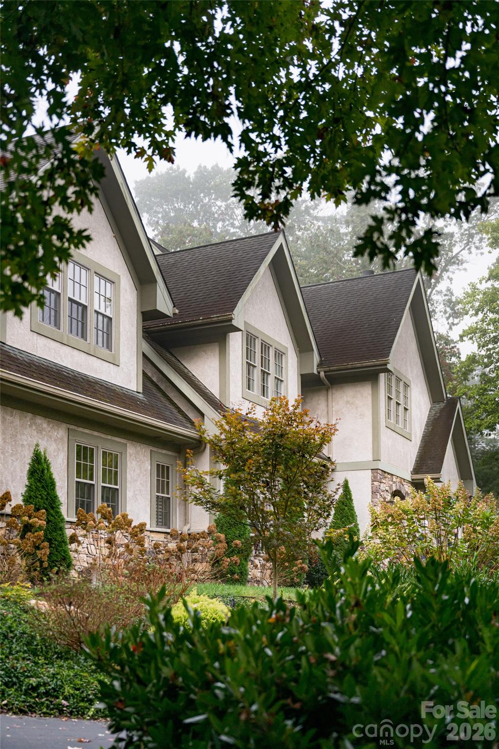 Media Image 1