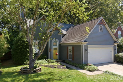 Media Image 3