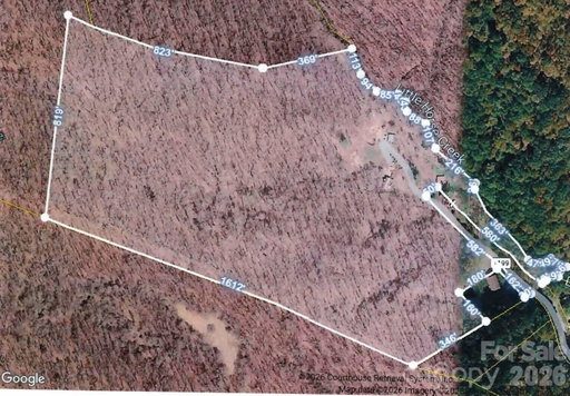 Media Image 2