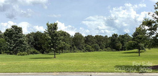 Media Image 3