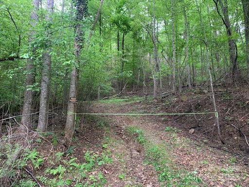 Media Image 3