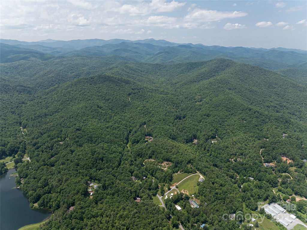 Media Image 1