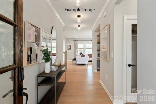 Media Image 3